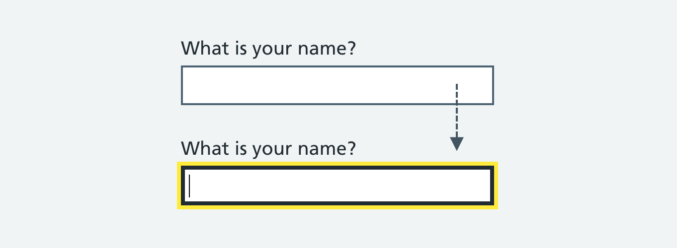 A text input labelled "What is your name?". The example shows the text input both unfocused and focused.